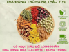 Trà Đông Trùng Hạ Thảo 7 Vị (Hộp 30 gói)