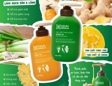 COMBO GỘI - XẢ THẢO DƯỢC GỪNG SẢ
