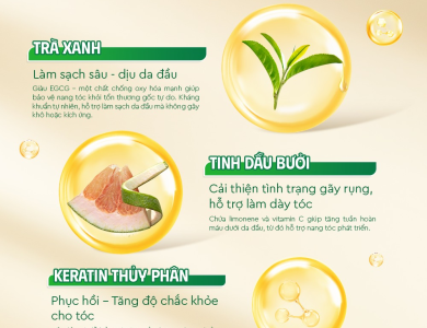 COMBO GỘI - XẢ THẢO DƯỢC BƯỞI TRÀ