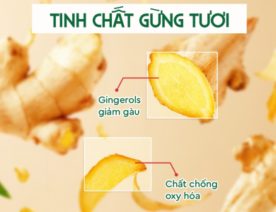 COMBO GỘI - XẢ THẢO DƯỢC GỪNG DỪA