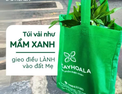 COMBO GỘI - XẢ THẢO DƯỢC GỪNG SẢ