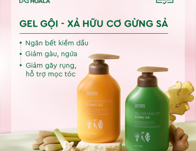 COMBO GỘI - XẢ THẢO DƯỢC GỪNG SẢ