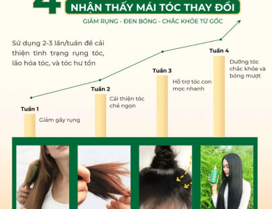 DẦU GỘI THẢO DƯỢC HÀ THỦ Ô 2in1