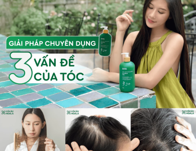 DẦU GỘI THẢO DƯỢC HÀ THỦ Ô 2in1