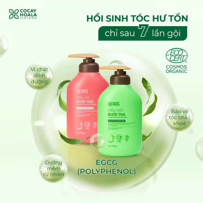 COMBO GỘI - XẢ THẢO DƯỢC BƯỞI TRÀ